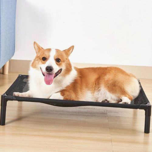 Corgi allongé confortablement sur un lit surélevé pour chien robuste et hygiénique, adapté aux chiens de taille moyenne.