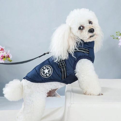 Profil latéral d’un chien équipé d’un manteau pour chien bleu avec harnais intégré ajustable