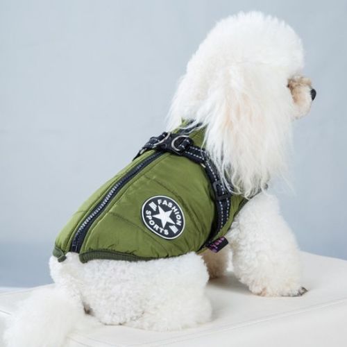Caniche portant un manteau pour chien vert imperméable avec harnais intégré