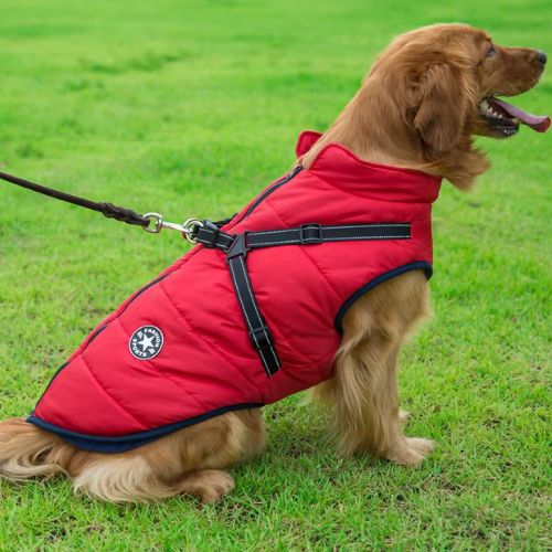 Manteau pour chien imperméable rouge ajusté avec bandes réfléchissantes pour la sécurité.