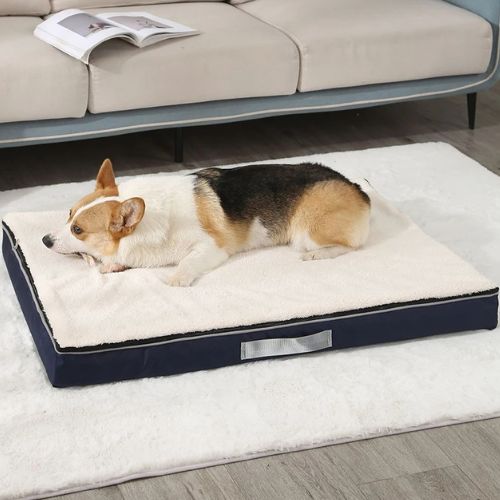 Matelas orthopédique pour chien blanc moderne adapté aux grands espaces intérieurs