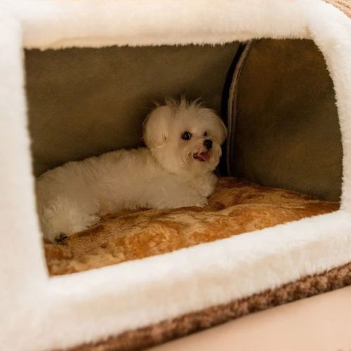 NICHE CHIEN INTERIEUR COSY