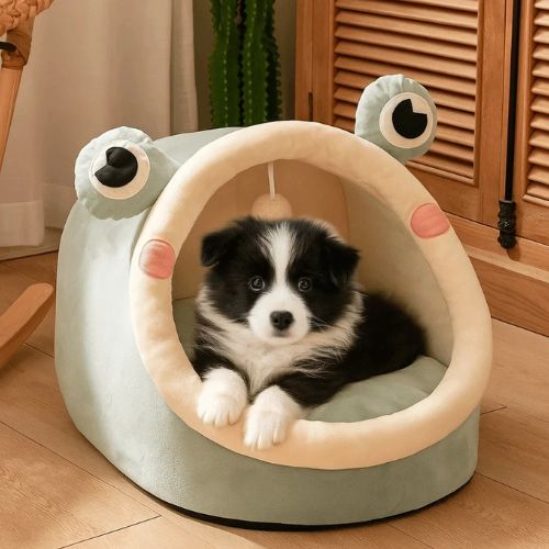 Un chiot noir te banc assis dans une niche interieur chien format amusante en grenouille.