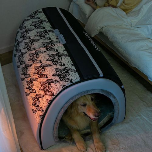 Chien couchĂ© dans une niche pour chien douce et enveloppante, ambiance nuit prĂšs du lit â confort rassurant pour un sommeil paisible