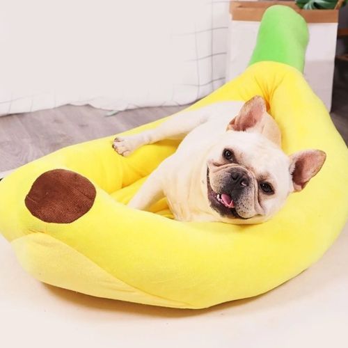Un chien Bouledogue Français blanc allongé dans un panier à chien en forme de banane, couchage original et moelleux placé dans un salon lumineux.