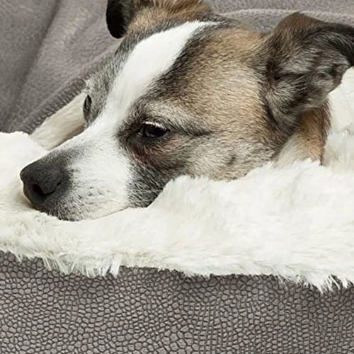panier-chien-anti-stress-bien-etre-detente-avec-couverture-integre