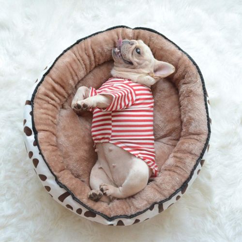 Petit chien allongé dans un panier apaisant motif girafe avec intérieur en peluche, couchage confortable pour chien anxieux