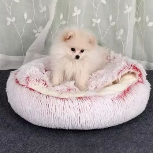 PANIER CHIEN | DOGCLOUD
