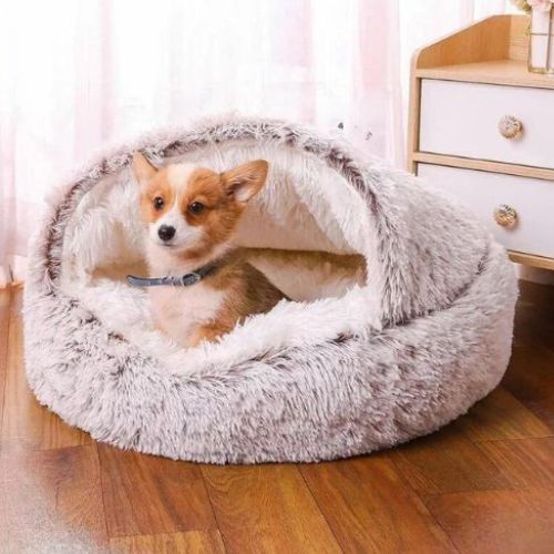 Adorable petit chien lové dans un panier pour petit chien ultra doux, dans des tons gris et crème, parfait pour un coin cosy et rassurant.