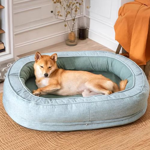 Chien Corgi allongé dans un panier orthopédique vert avec intérieur molletonnée, offrant confort et soutien pour un repos apaisé à la maison.