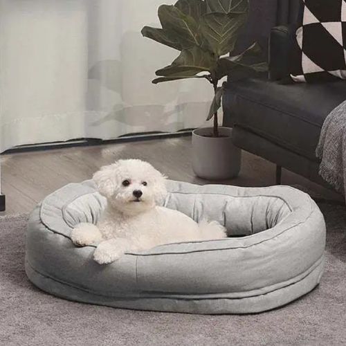 Chien Caniche blanc allongé dans un panier orthopédique chien gris, offrant confort et soutien pour un repos apaisé à la maison.