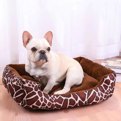 Chien Bouledogue Français blanc assis dans un panier pour chien confortable motif panthère, dans un intérieur lumineux