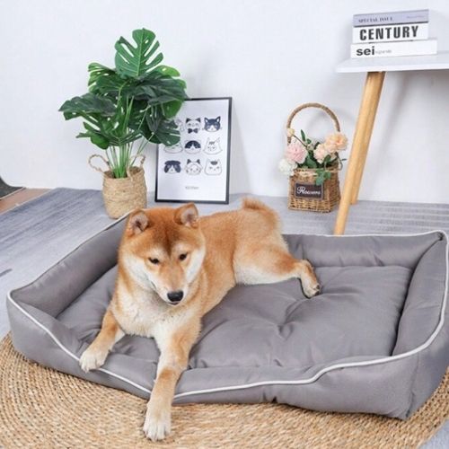 Chien Shiba Inu allongé dans un panier pour chien gris confortable et résistant, intérieur doux et rebords sécurisants, idéal pour repos et détente.