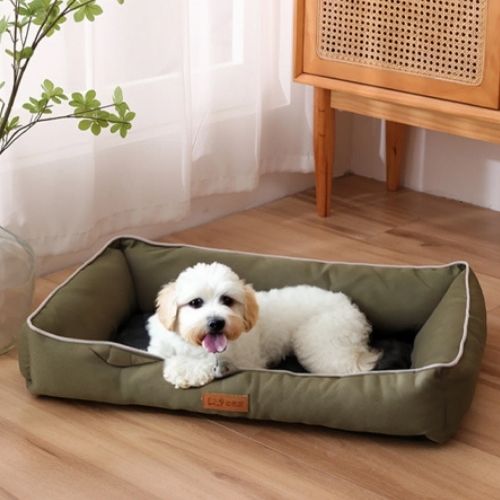 Un caniche blanc allongé dans un panier pour chien vert confortable et résistant, intérieur doux et rebords sécurisants, idéal pour repos et détente.