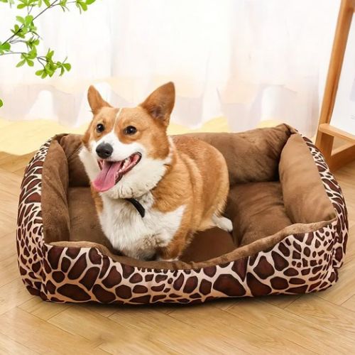 Chien Corgi allongé dans un panier pour chien moelleux motif panthère, dans un intérieur lumineux