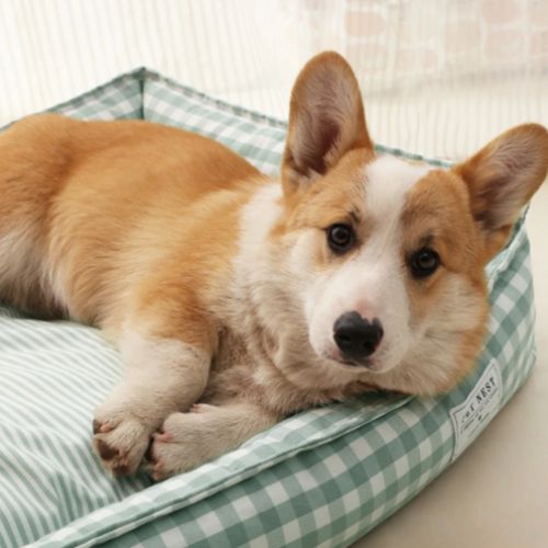 Panier Pour Chien En Tissu Vichy