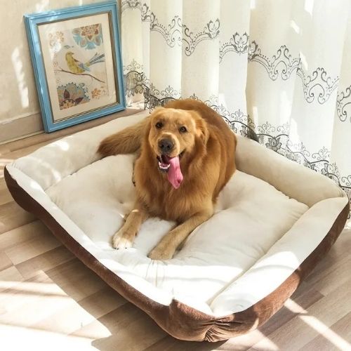 Grand chien allongé dans un panier pour chien moelleux marron