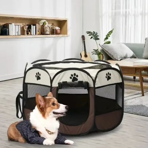 Chien couché paisiblement sur le sol à cÎté d'un parc pour chien confortable et ventilé