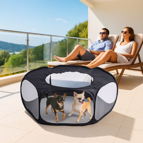 Parc pour chien en toile respirante installé dans une terrasse lumineux avec deux Chihuahua à l'intérieur