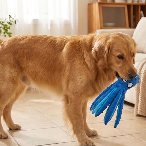 Chien Golden Retriever tenant dans sa gueule la pieuvre bleue, une peluche pour chien interactive et un jouet amusant pour stimuler son éveil.