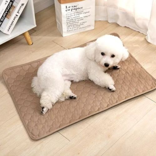 Petit chien blanc allongé sur un tapis absorbant pour chien marron posé sur le sol