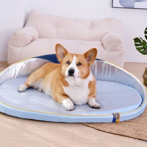 Corgi couché sur tapis chien rafraichissant moelleux et frais