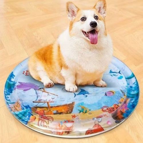 Corgi assis relaxant sur tapis chien rafraichissant design gonflable