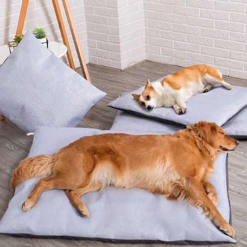 Golden Retriever et corgi allongé sur tapis chien rafraichissant bleu clair déhoussable