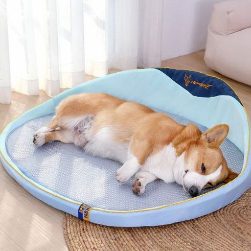 Chien détendu sur tapis chien rafraichissant antistress près d’une fenêtre