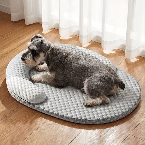 Un caniche heureux assis sur tapis chien rafraichissant gris et blanc en intérieur