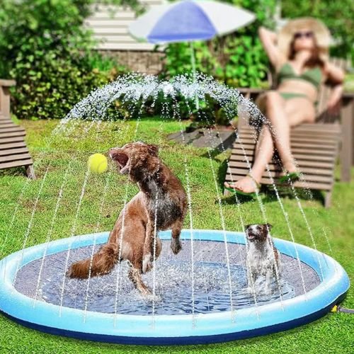 Piscine pour chien portable installée dans un jardin avec chien à l’intérieur