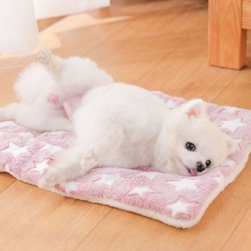 Un petit chien blanc reposant tranquillement sur un tapis pour chien rose motif étoile lavable