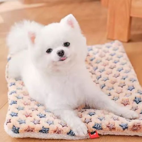 Tapis pour chien anti-stress moelleux de couleur beige avec un chien allongé de tout son long