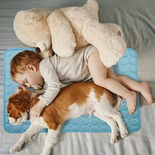 Accessoire d’intérieur de type tapis pour chien rafraichissant avec chien et un bébé allongé