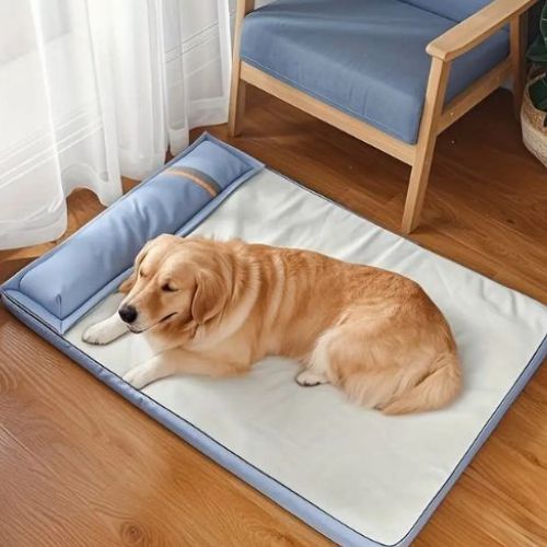 Un Labrador couché tranquillement sur tapis rafraichissant chien bleu clair