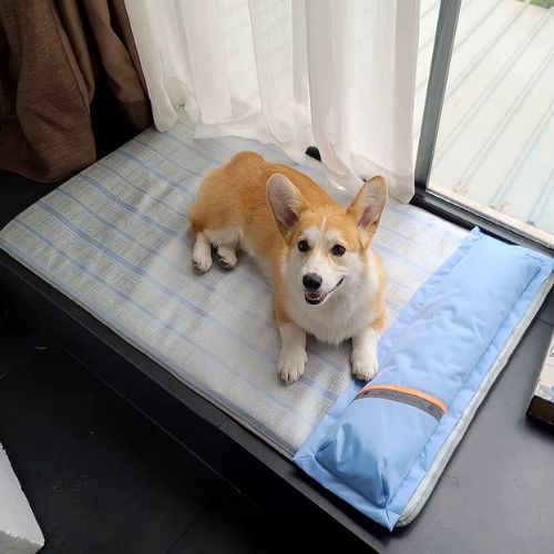 Chien détendu couché sur tapis rafraichissant chien bleu clair