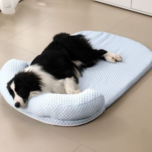 Border Collie allongé sur tapis rafraichissant pour chien bleu clair avec rebords