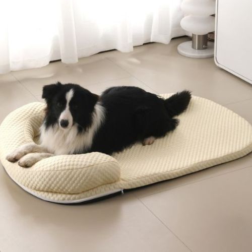 Tapis rafraichissant pour chien jaune confortable et respirant en intérieur avec Border Collie assis dessus