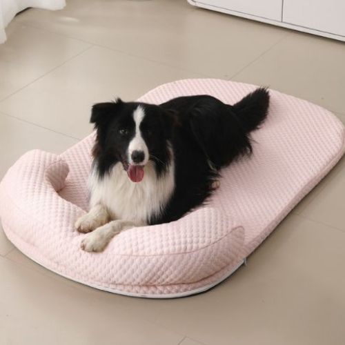 Chien noir et blanc reposant sur tapis rafraichissant pour chien rose moelleux