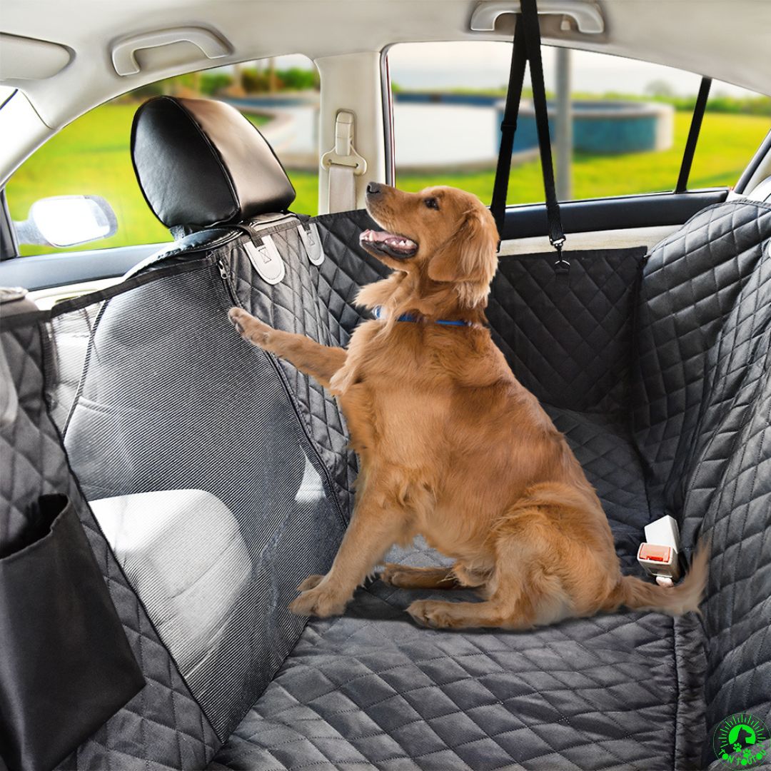 Protection voiture chien, Housse de protection voiture résistante