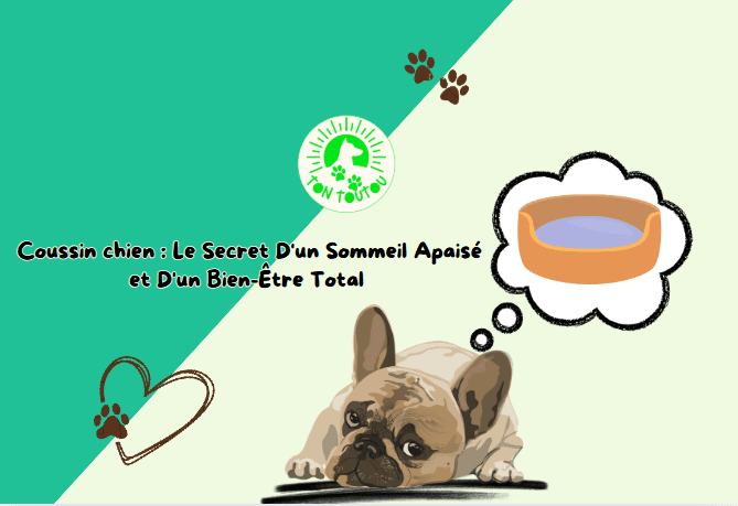 Coussin-Chien-Le-Secret-D-un-Sommeil-Apaise-et-D-un-Bien-etre-Total