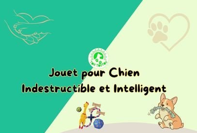 Jouet-pour-Chien-Indestructible-Intelligent-Le-Guide-Ultime