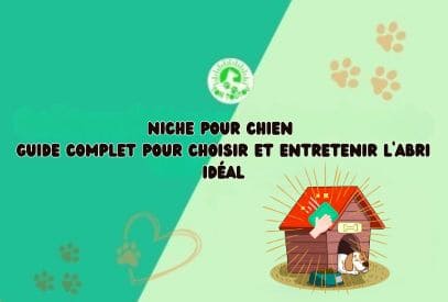 Niche-pour-chien-guide-complet-pour-choisir-et-entretenir-labri-ideal