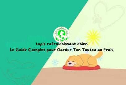 Tapis Rafraichissant Chien : Le Guide Complet pour Garder Ton Toutou au Frais