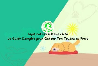 Tapis Rafraichissant Chien : Le Guide Complet pour Garder Ton Toutou au Frais