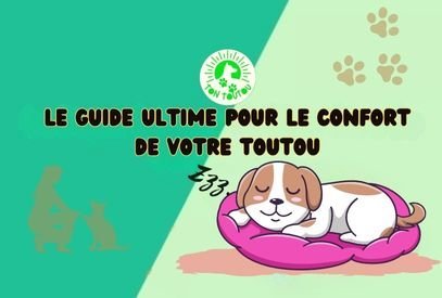 Un chien dort paisiblement sur un coussin pour chien confortable et moelleux essentiel pour sa santé et son bien-être