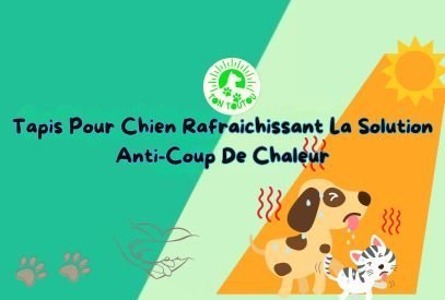 tapis-pour-chien-rafraichissant