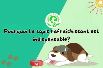 tapis-rafraichissant-chien-anti-chaleur-canicule-ete