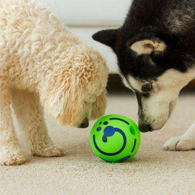 Caniche et Husky reniflant une balle verte interactive avec des motifs bleus, illustrant l'intérêt suscité par cette balle pour chien conçue pour stimuler la curiosité et le jeu partagé.
