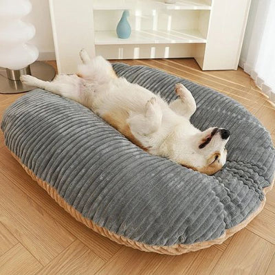 Coussins-pour-chien-tontoutou